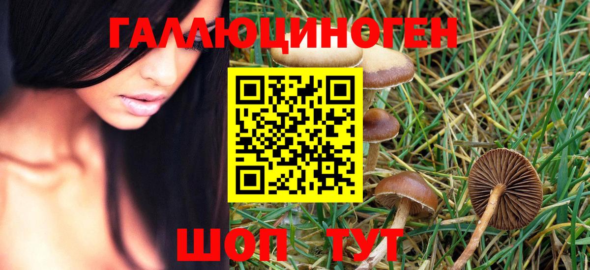 Галлюциногенные грибы GOLDEN TEACHER Шебекино