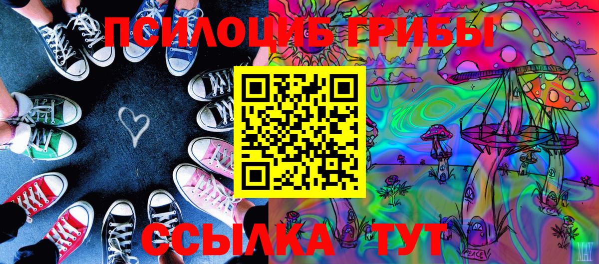 Псилоцибиновые грибы Cubensis  Вход с VPN  Шебекино 
